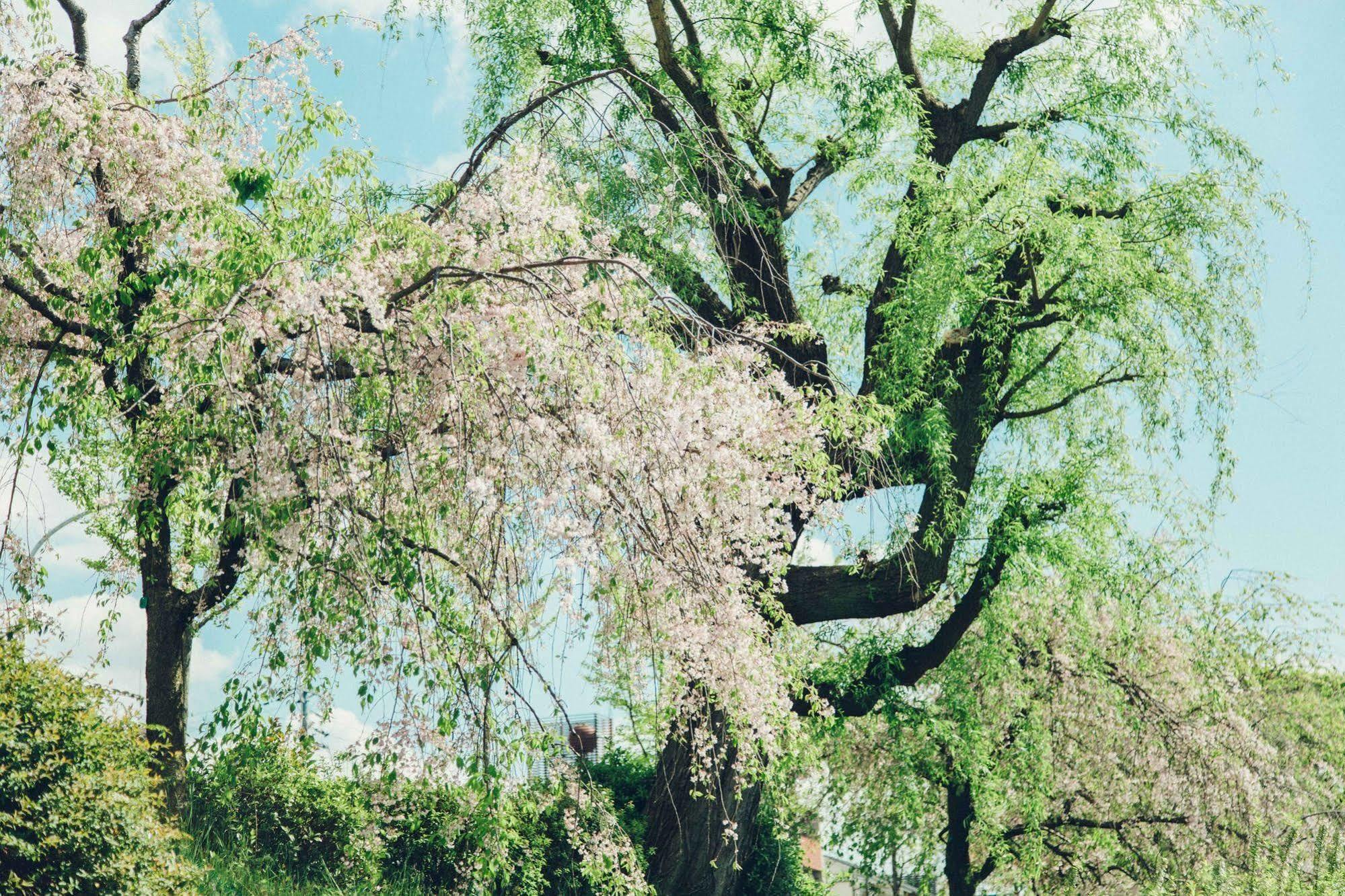 Len Kyoto Kawaramachi Quioto Exterior foto